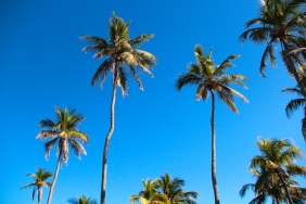 Dilan-Citak-Tatlises8217ten-Miami-Iddialarina-Net-Cevap-featured