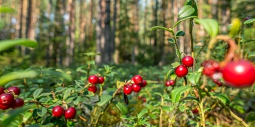 Dogukan-Gungor-8216Kizilcik-Serbeti8217-Ayrilik-Iddialarini-Yalanladi-featured