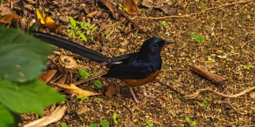 Irem-Derici8217den-Beyazit-Ozturk8217e-Kalpten-Ovguler-featured