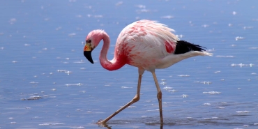 Pinar-Altug-ve-Yagmur-Atacan8217in-Kizi-Su-Artik-17-Yasinda-featured