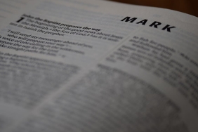 Feyyaz-Serifoglu-ve-Ceren-Kaya-Serifoglu8217ndan-Bebek-Mujdesi-featured