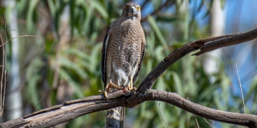 Aleyna-Cakir-Davasinda-Konum-Skandalina-Takipsizlik-Karari-featured