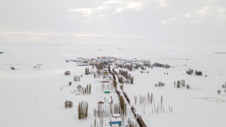 Aslihan-Gurbuz-Sehirden-Uzak-Organik-Koy-Hayatina-Merhaba-featured