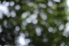 Kismetse-Olur-Cansel-Serdar-Ortac-Iddialari-8216Igrenc8217-featured