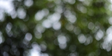 Kismetse-Olur-Cansel-Serdar-Ortac-Iddialari-8216Igrenc8217-featured