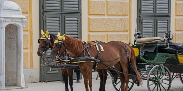 Sahtekarlar-Dizisinin-Final-Tarihi-Degisti-Beklenmedik-Uzatma-featured