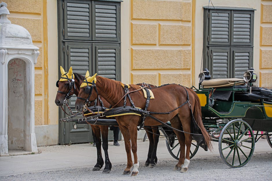 Sahtekarlar-Dizisinin-Final-Tarihi-Degisti-Beklenmedik-Uzatma-featured
