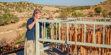 Berdan-Mardini8217nin-Koyunde-Kurdugu-Fabrika-Servet-Kazandirdi-featured