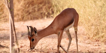 Ceylan8217in-Inanilmaz-Degisimi-8220Kucuk-Ceylan8221dan-Simdiki-Haline-Yolculuk-featured