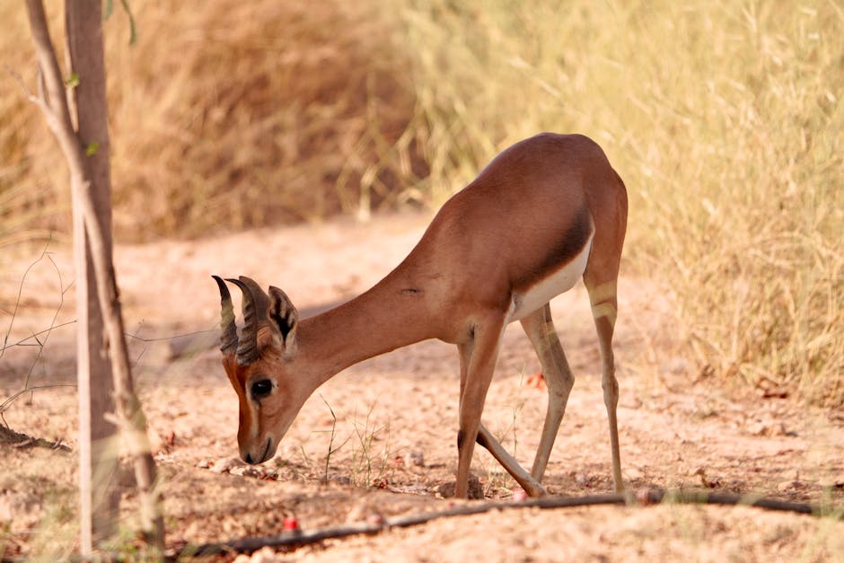 Ceylan8217in-Inanilmaz-Degisimi-8220Kucuk-Ceylan8221dan-Simdiki-Haline-Yolculuk-featured