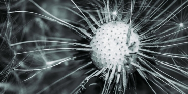 Melike-Sahin8217den-Cesur-Degisim-Saclarini-Kisacik-Kestirdi-featured